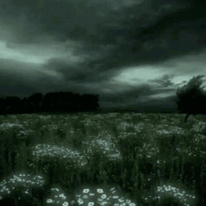 Cant See Nun (Explicit)