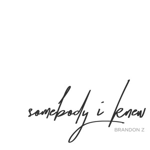 Somebody I Knew