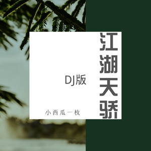 江湖天骄DJ版