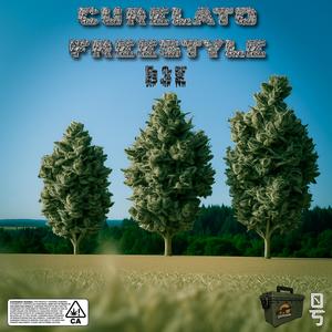 Curelato Freestyle (Explicit)