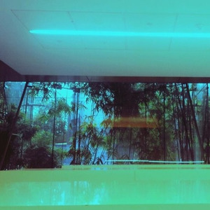 KILL ME BEFORE I KILL YOU