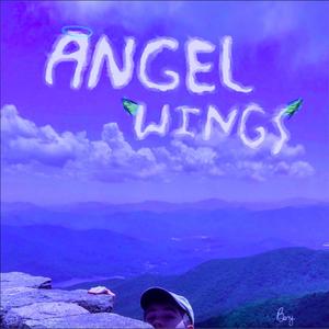 Angel Wings (synth)