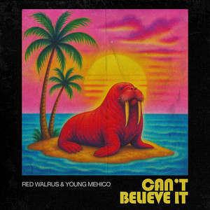 Can't Believe It (Explicit)