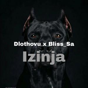 Izinja (feat. Dlothovu) [Explicit]