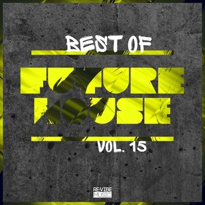 Best of Future House, Vol. 15