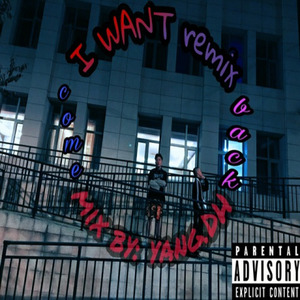 我想要（I Want remix）