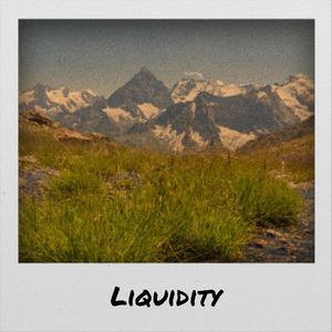 Liquidity