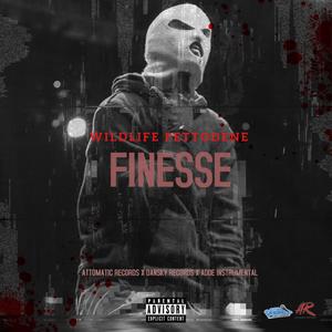 FINESSE(feat. ATTOMATIC RECORDS DAN SKY RECORDS)