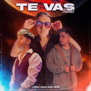 Te vas (feat. Alexis Hache & Ziggie) (Remix|Ft Ziggie & Alexis Hache)