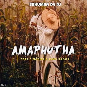 Amaphutha (feat. C Ngema & King Sador)