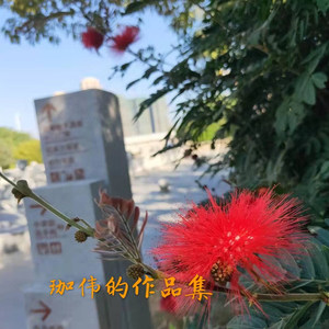 我想做你的新郎