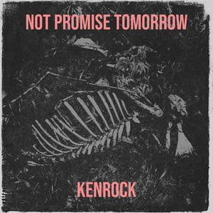 Not Promise Tomorrow