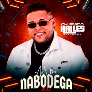 Um Amor de Novela (Ao Vivo)