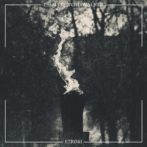 Voidwalker (Original Mix)