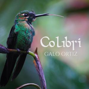 Colibrí(feat. Eva Fortes, Laura Rendón, Amanda Rollón, Joan Camps & Laura Serra)