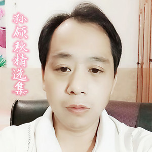 难渡的劫 - 孙领秋封面
