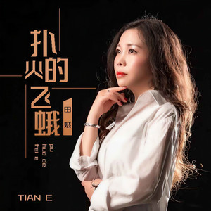 扑火的飞蛾 - 田娥封面