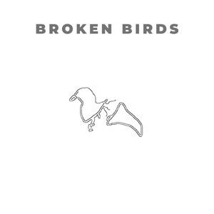 Broken Birds