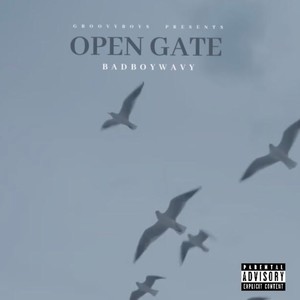 OPEN GATE (Explicit)