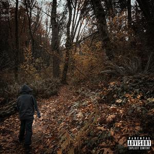 The Woods 2 (Explicit)