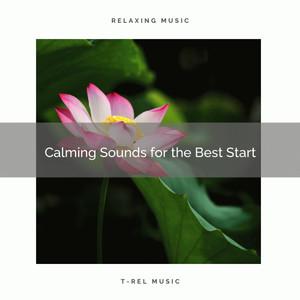 Soothing Tunes for New Dreams