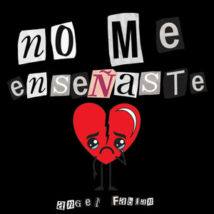 No Me Enseñaste