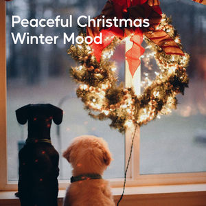 Tranquil Christmas Air