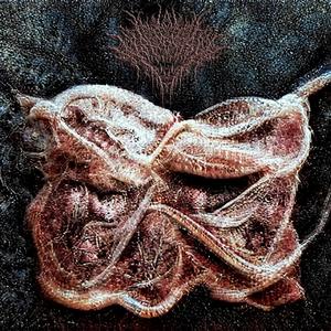 Bataklık(feat. Iblis) (Explicit)