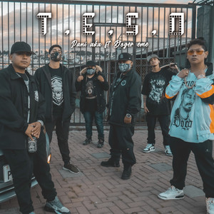 T.E.S.O