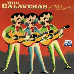 El limpiabotas