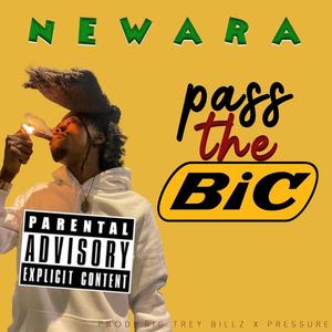 pass the bic (feat. new ara) [Explicit]