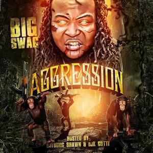 Aggression (Explicit)