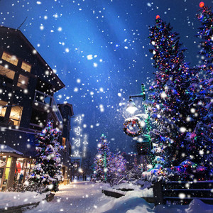 사랑경보 2021 (爱情警报 2021)