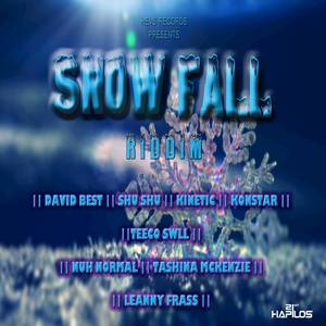 Snow Fall Riddim