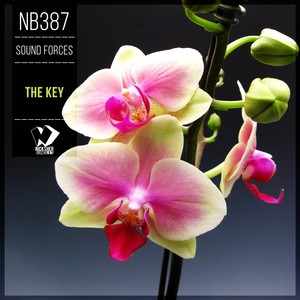 Earth Song (Original Mix)