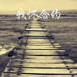 醒着醉-莎莎