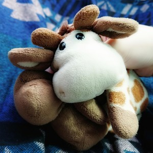 あなただけ见つめてる