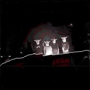 WLM (Whole Lotta Money) (feat. Marco Gambinoo) (Explicit)