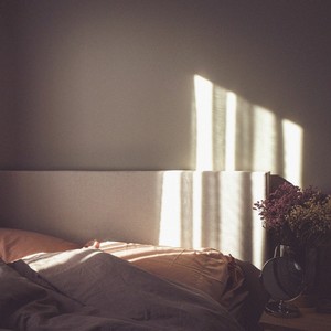 Morning Sunshine