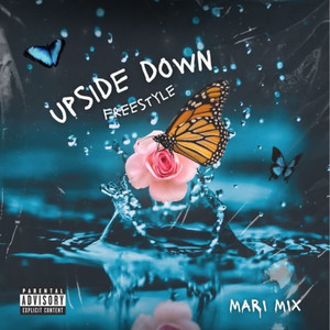 Upside Down (Freestyle) (Explicit)