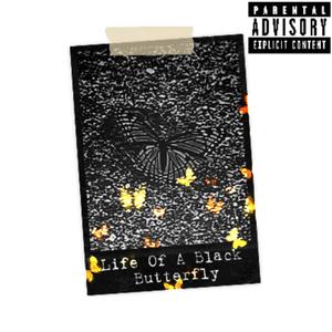 Life Of A Black Butterfly (Explicit)