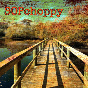 SOPchoppy (feat. Solo Cupp, Hue Brown & Dre Dubb)