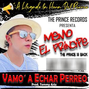 Vamo´ a Echar Perreo (feat. Tommy Artz)