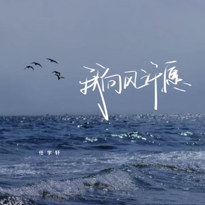 我向风许愿