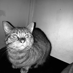 Piège numéro 6 (feat. Waggie) (Explicit)