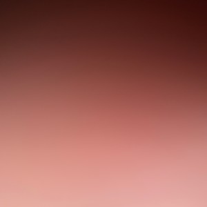 Certified Members Only (feat. CMO Don, Yhm Tdot & Yhm Trap) (Explicit)