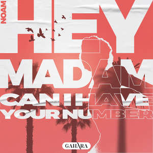 Hey Madam (Can I Have Your Number)