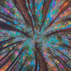 给未来的自己-小田欣