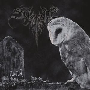 Wenn Strix aluco ruft