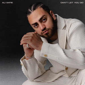 Ali Gatie - Can't Let You Go